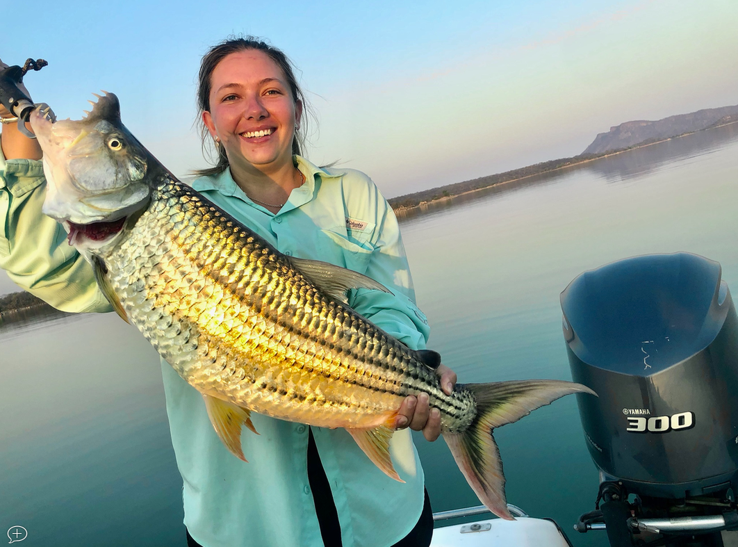 Screen Shot 2023-04-26 at 20.22.17