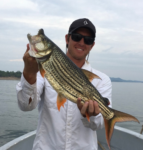 Screen Shot 2023-05-15 at 18.54.08